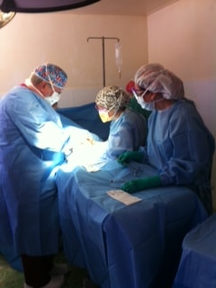 First surgical operations performed in Bainet